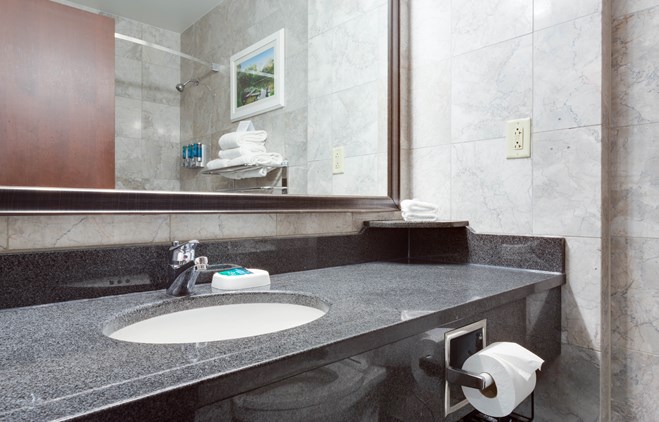 Drury Plaza Hotel at the Arch - Bathroom