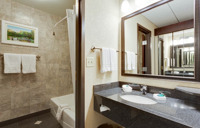 Drury Plaza Hotel at the Arch - Bathroom