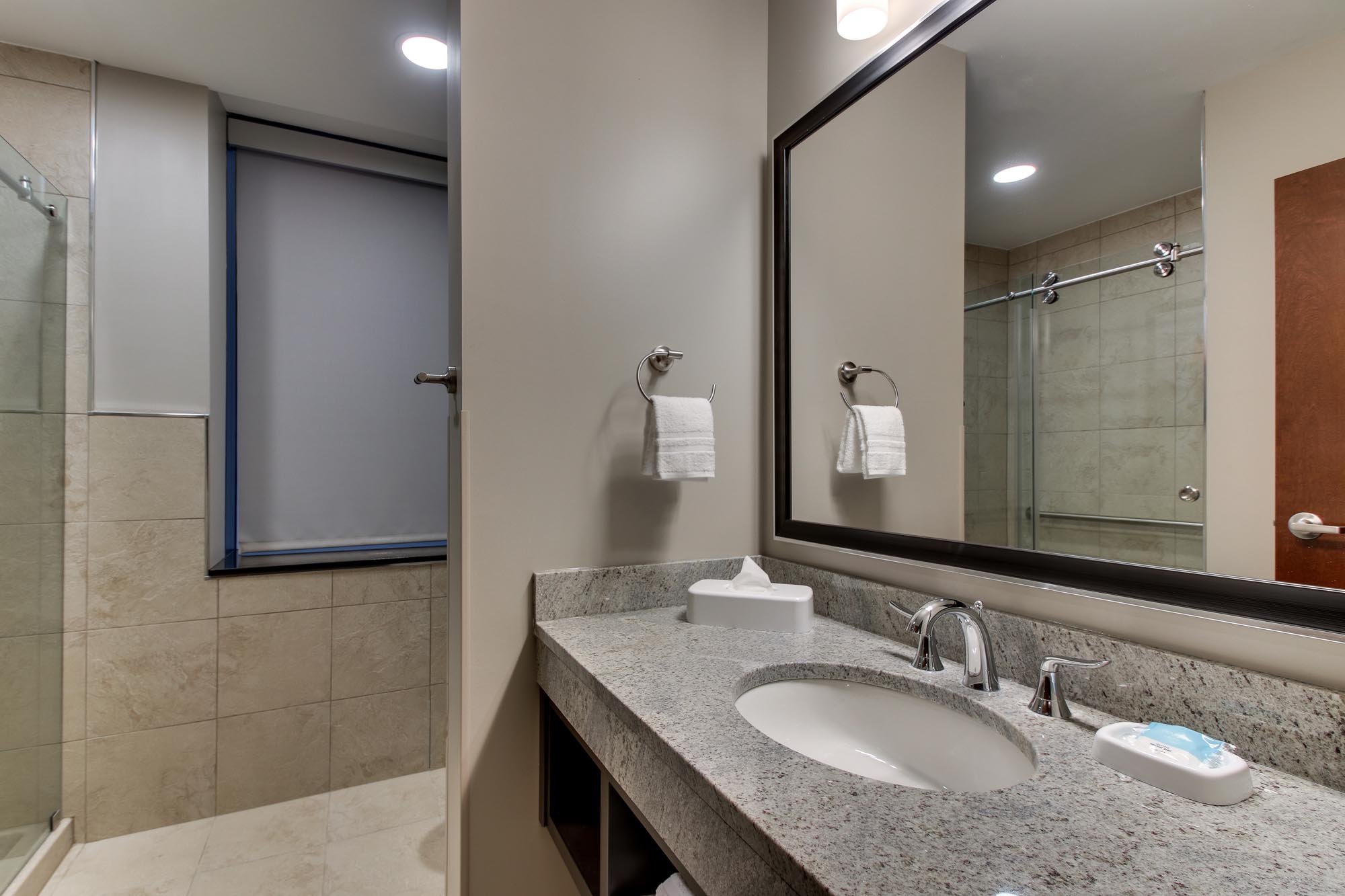 Drury Plaza Hotel Milwaukee Downtown - Bathroom