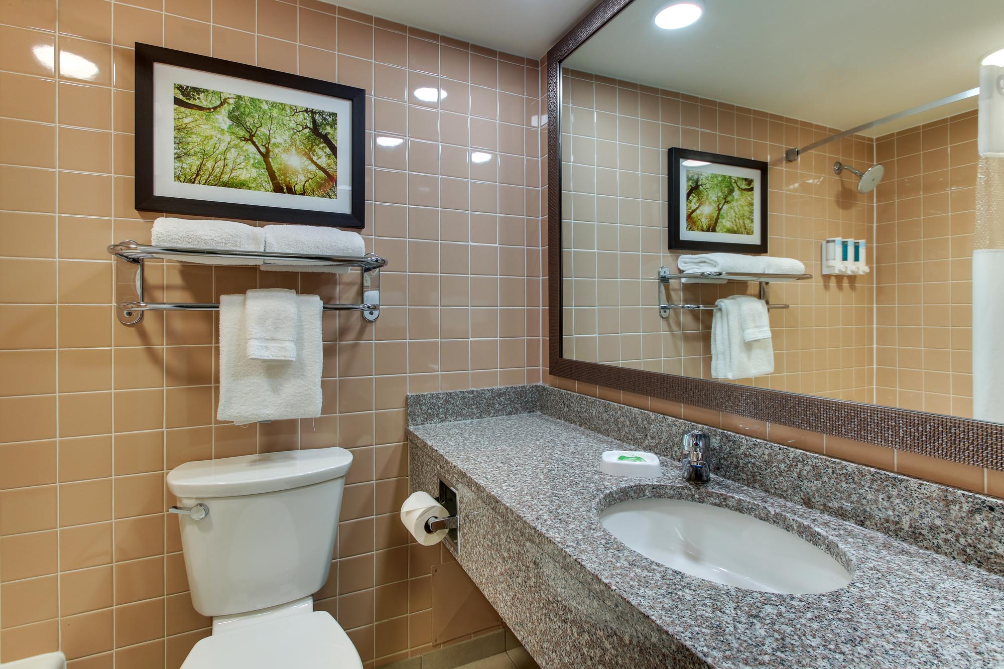 Pear Tree Inn Arnold - Bathroom