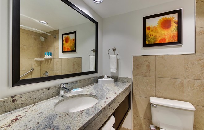 Drury Inn & Suites Poplar Bluff - Bathroom