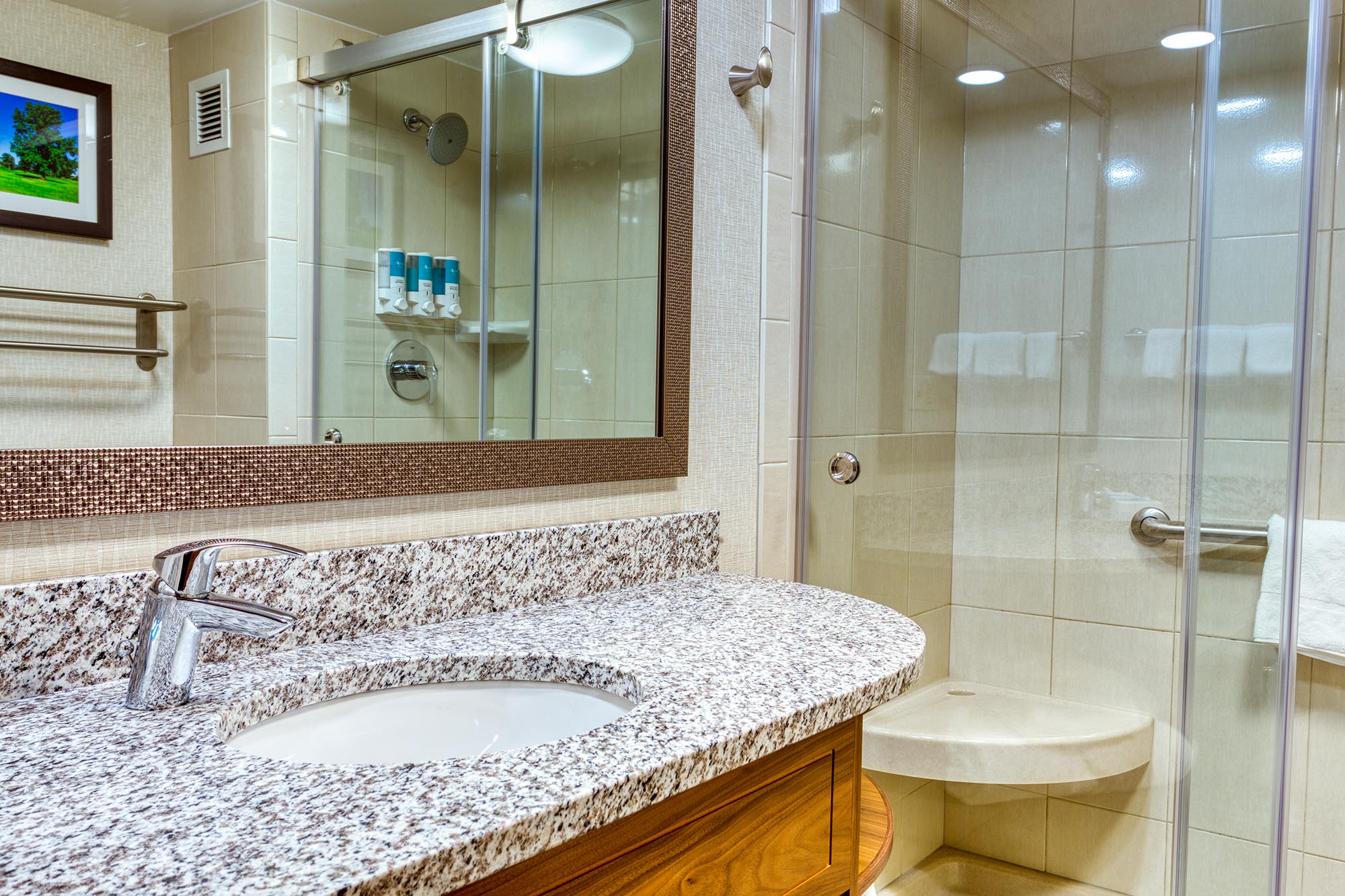 Drury Inn & Suites St. Louis Collinsville - Bathroom