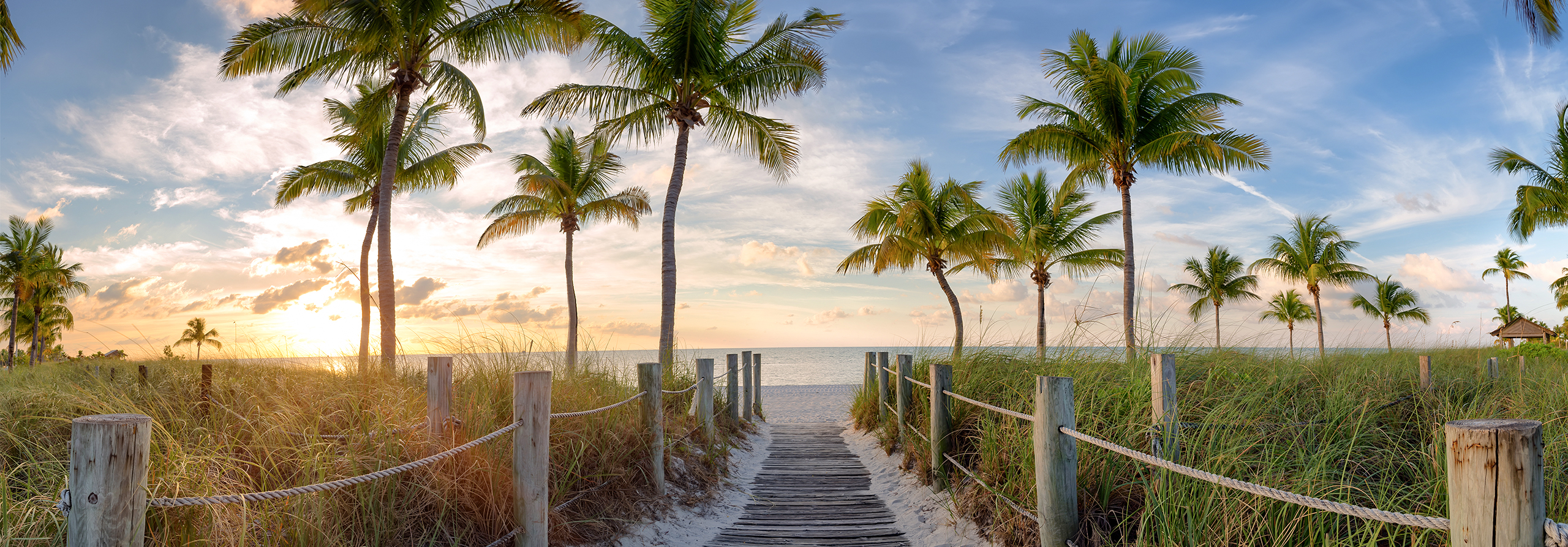 Florida beach and palm trees. 