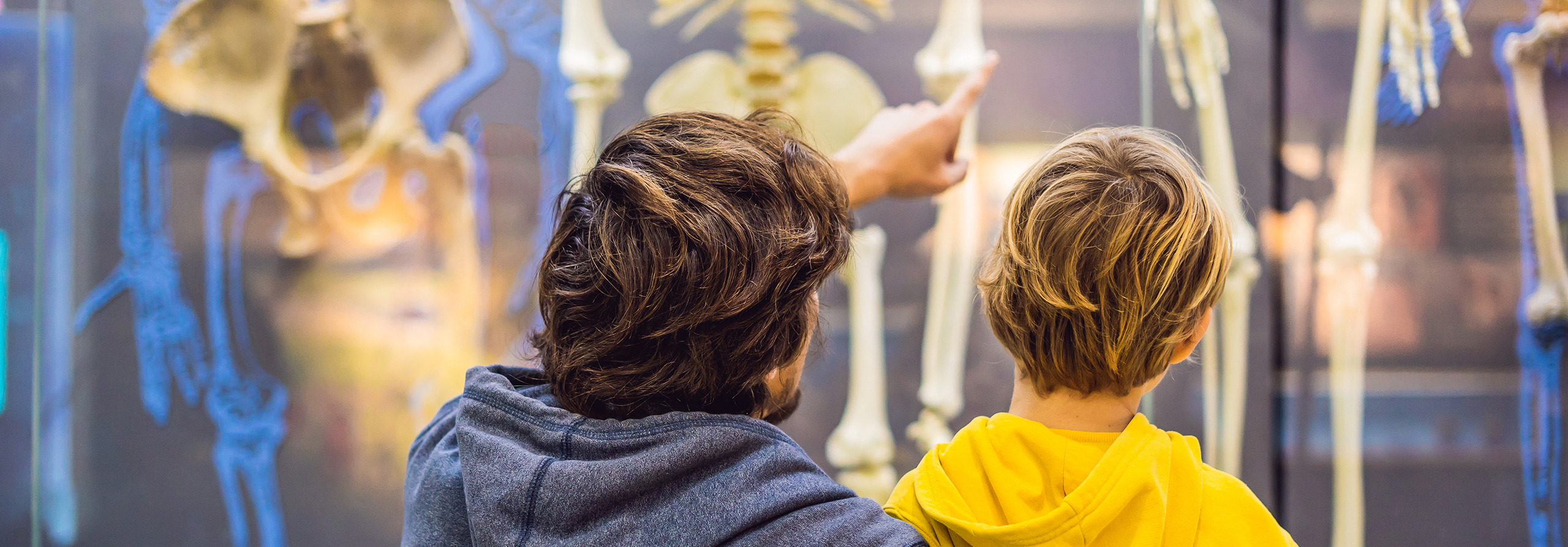 Father and son looking at skeletons in a museum. 