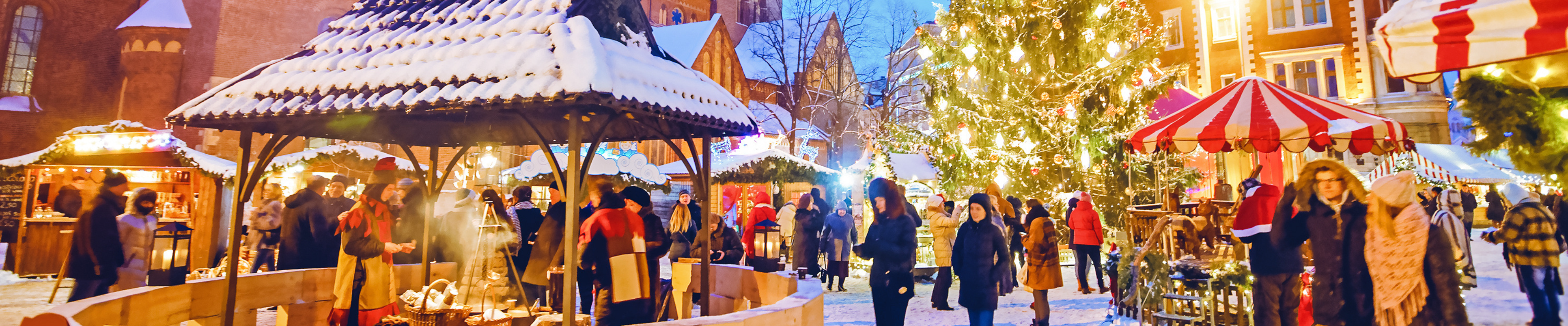 Holiday festival with holiday lights. 