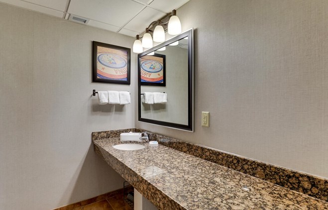 Drury Inn & Suites Phoenix Airport - Bathroom