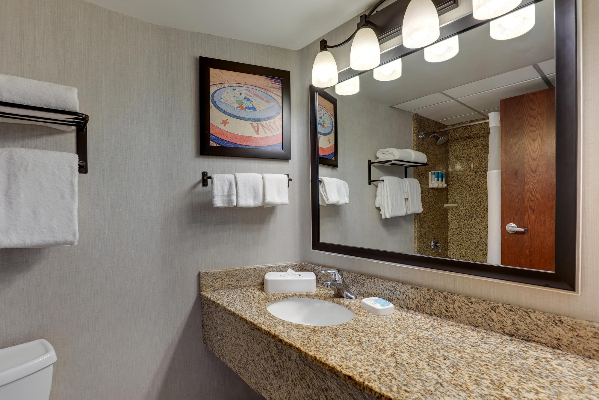Drury Inn & Suites Phoenix Airport - Bathroom