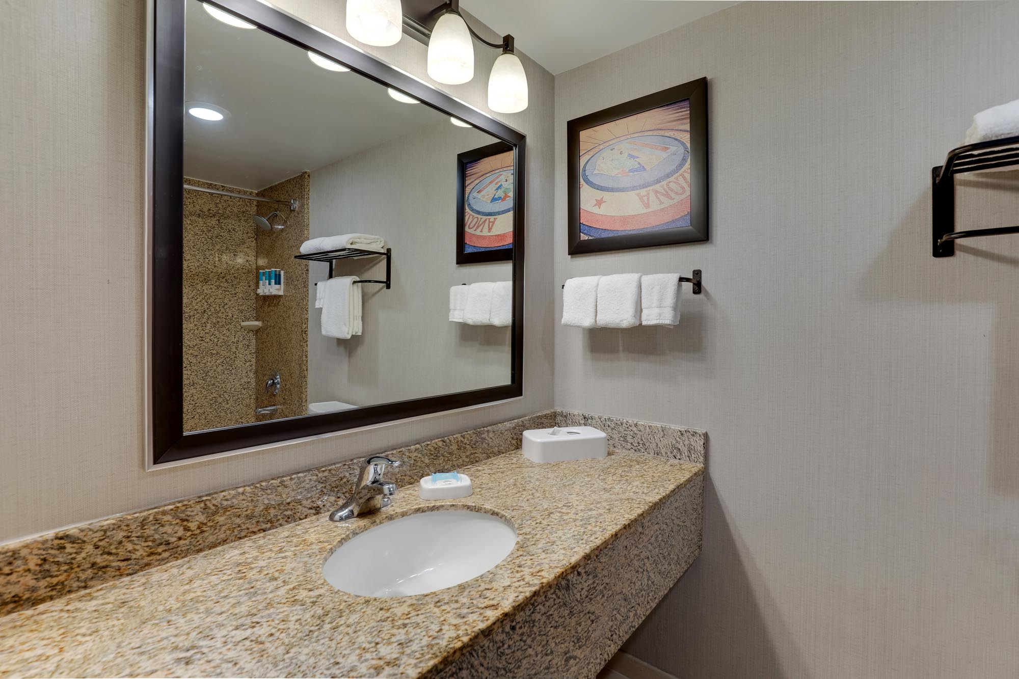 Drury Inn & Suites Phoenix Airport - Bathroom