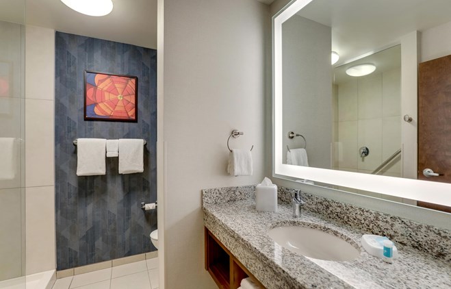 Drury Plaza Hotel Tallahassee - Bathroom