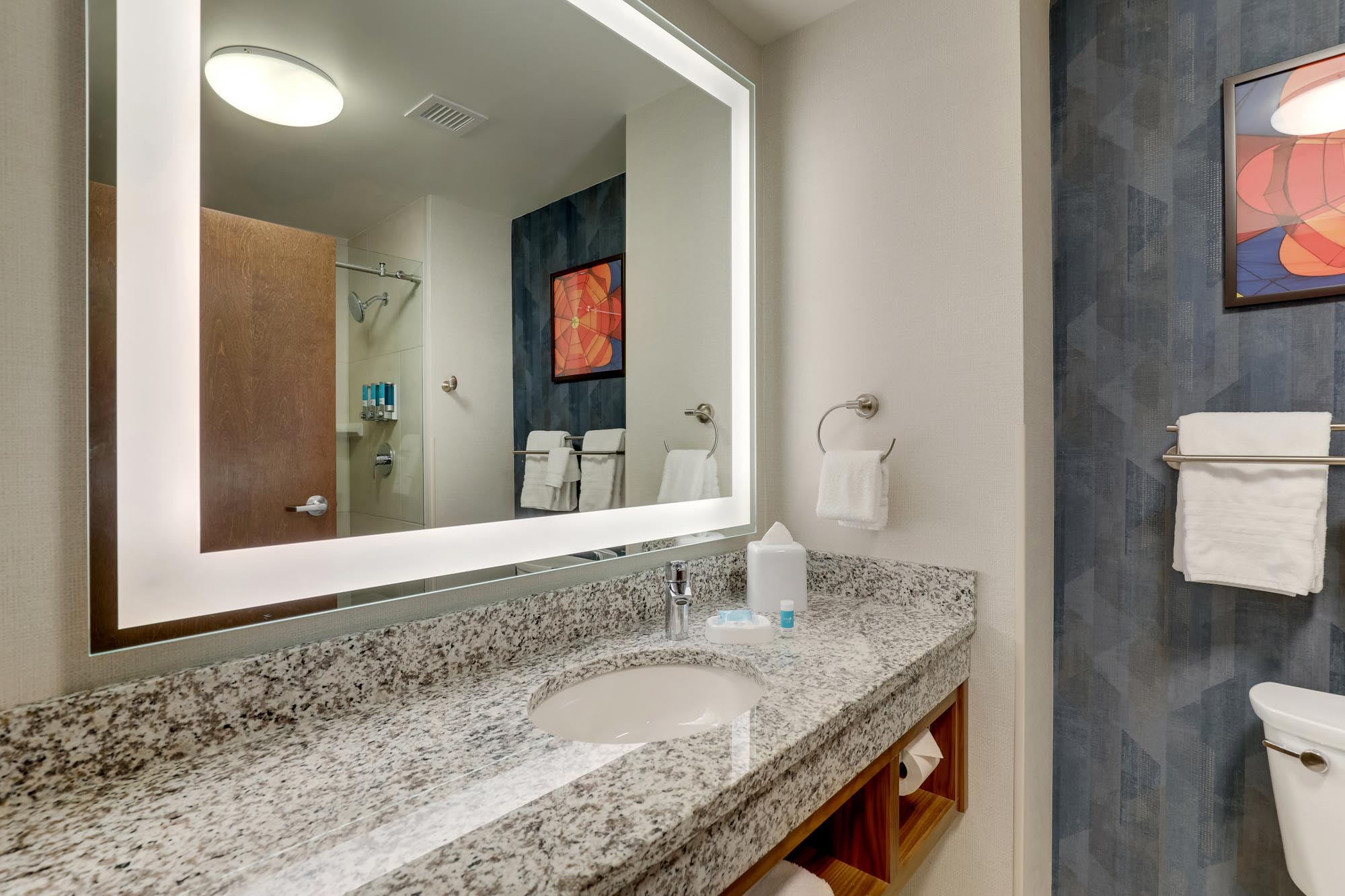 Drury Plaza Hotel Tallahassee - Bathroom