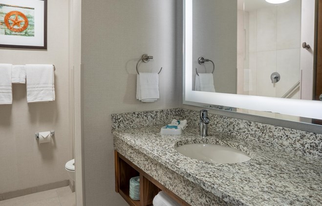 Drury Plaza Hotel Dallas Arlington - Guest Bathroom