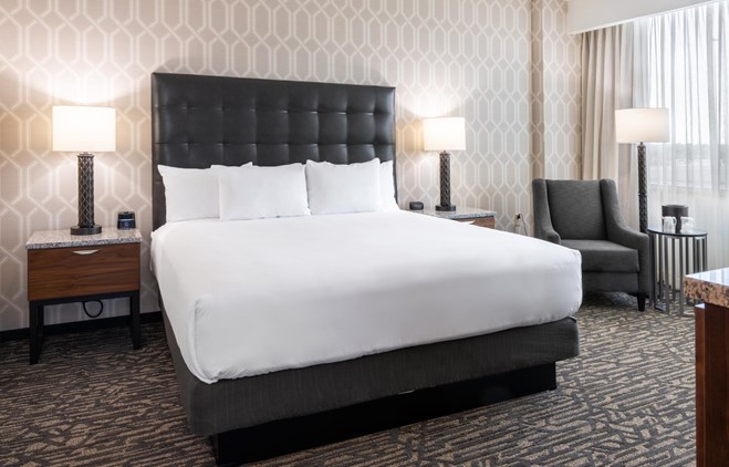 Drury Plaza Hotel Dallas Arlington - King Suite