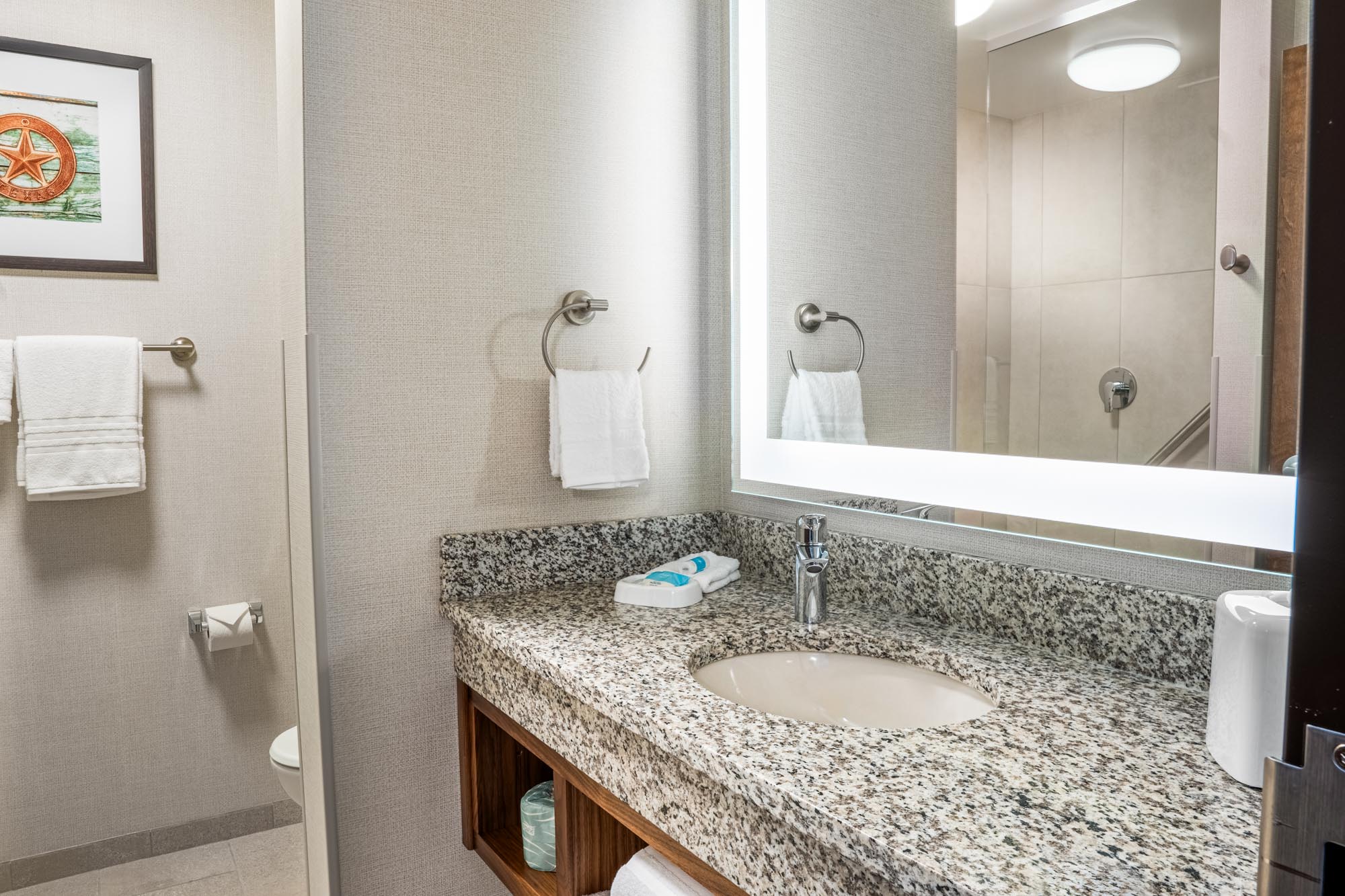 Drury Plaza Hotel Dallas Arlington - Guest Bathroom