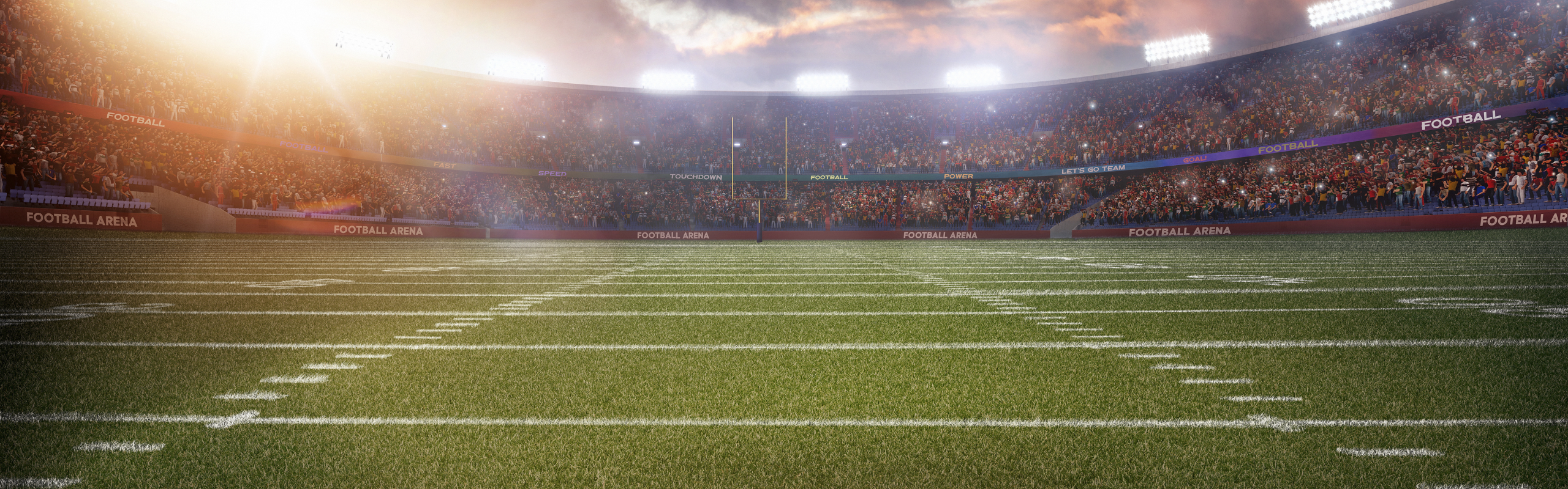 Football stadium with a crowd. 