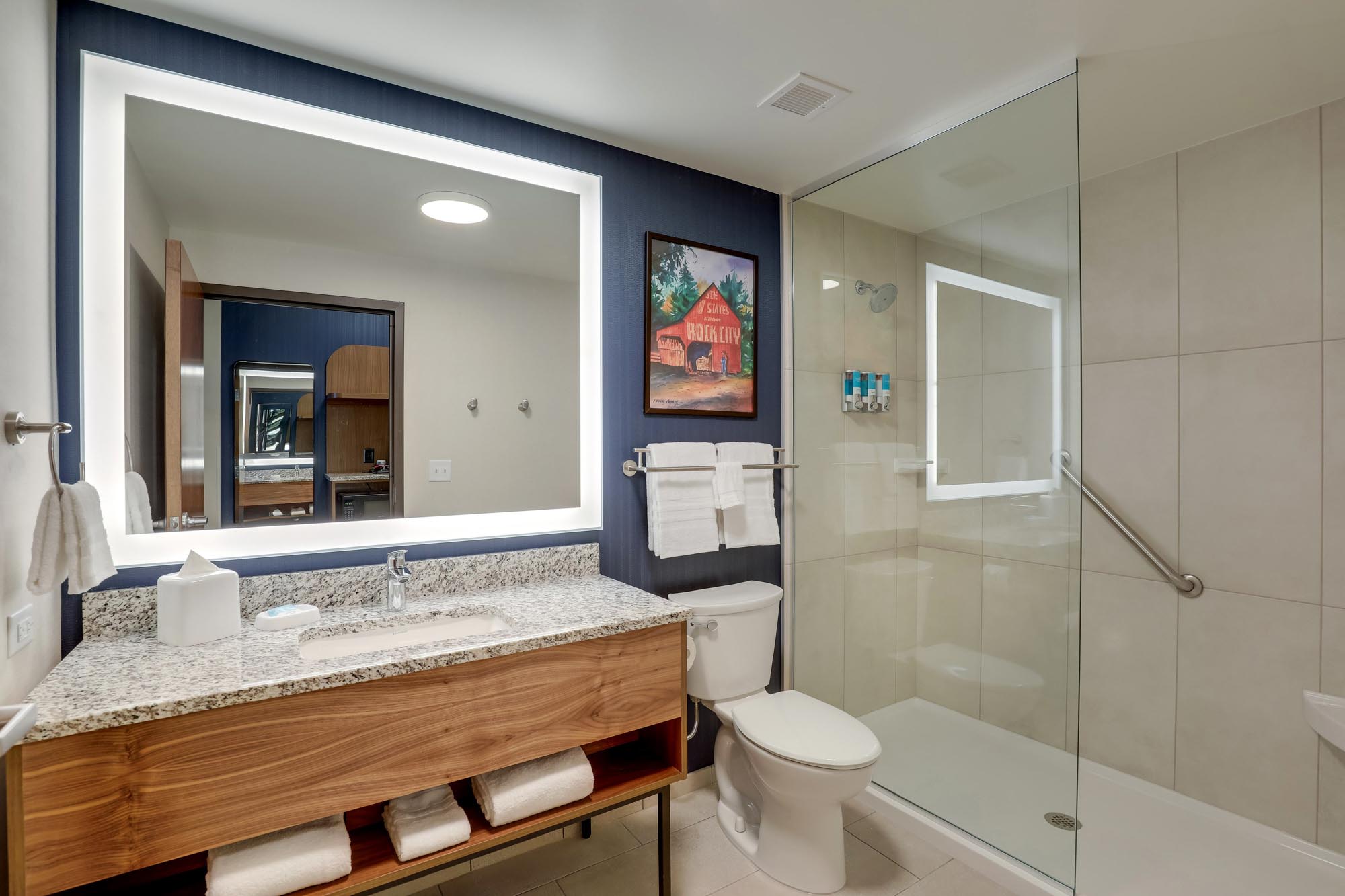 Drury Plaza Hotel Chattanooga Hamilton Place - Bath