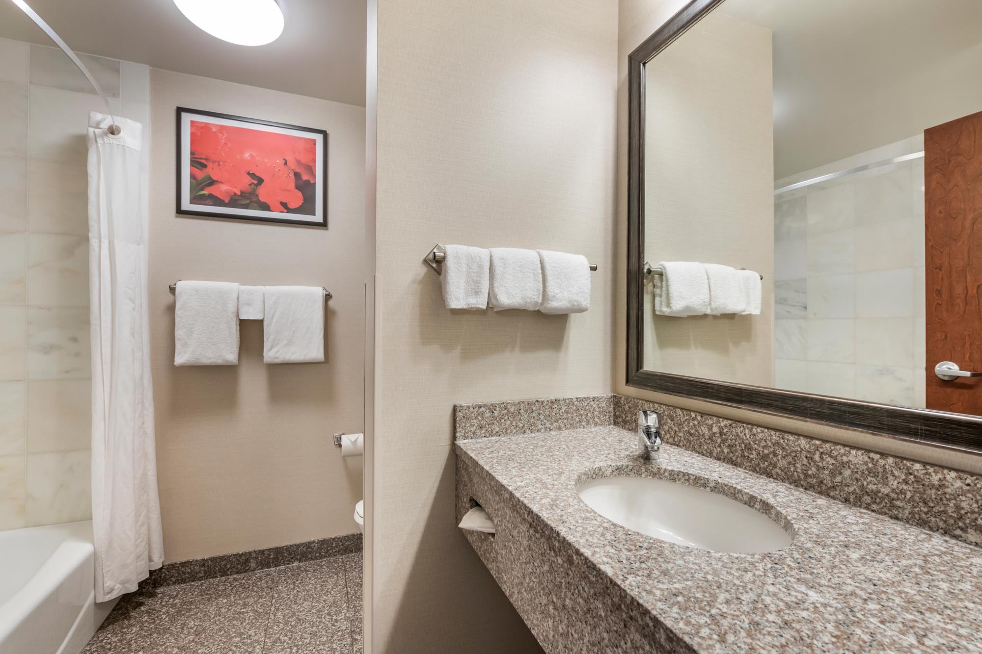 Drury Plaza Hotel Valdosta - Bath