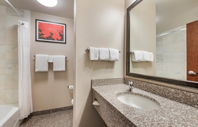 Drury Plaza Hotel Valdosta - Bath