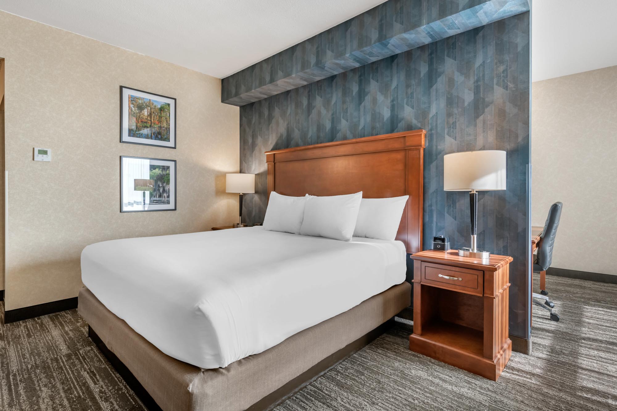 Drury Plaza Hotel Valdosta - King Room Deluxe