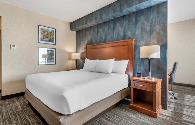 Drury Plaza Hotel Valdosta - King Room Deluxe