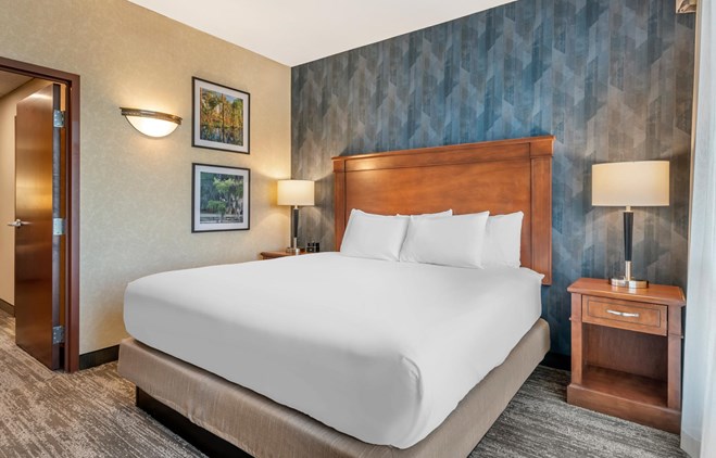 Drury Plaza Hotel Valdosta - King Suite