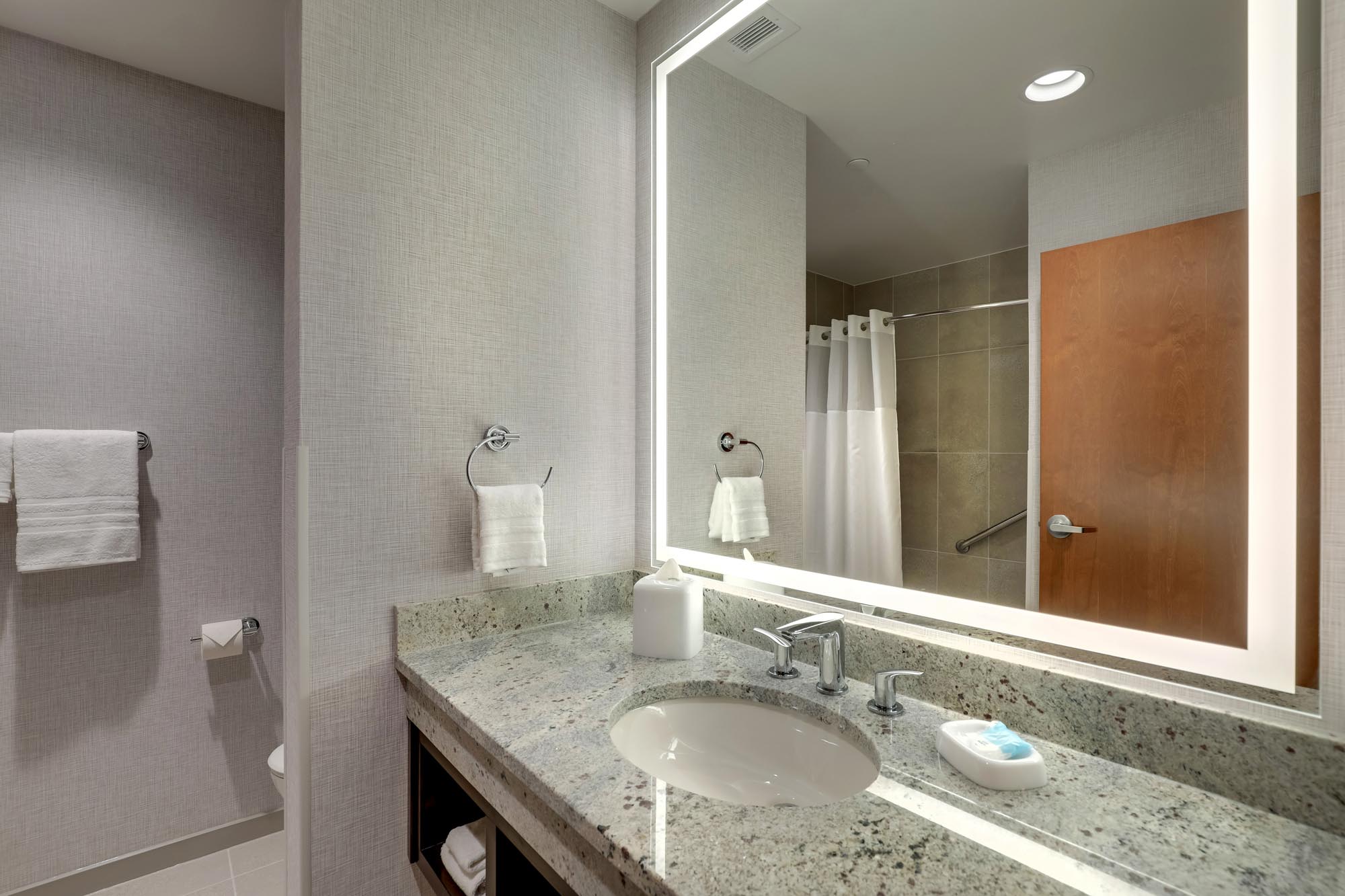 Drury Plaza Hotel Cincinnati Florence - Bath