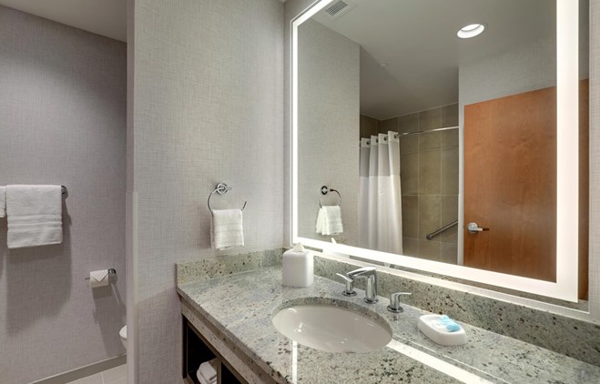 Drury Plaza Hotel Cincinnati Florence - Bath