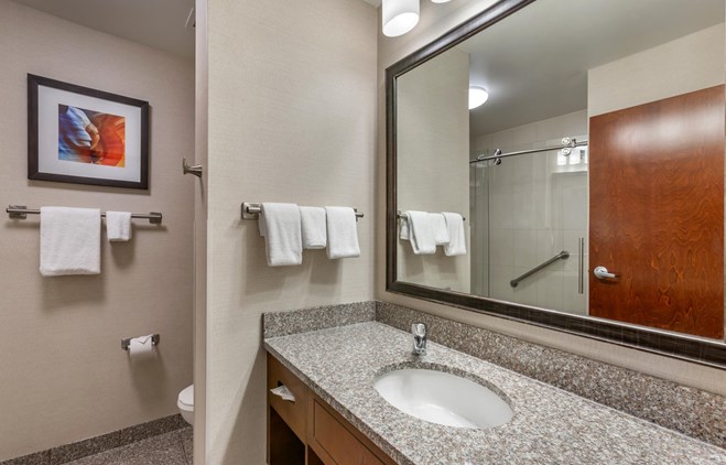 Drury Plaza Hotel Phoenix Tempe - Bath