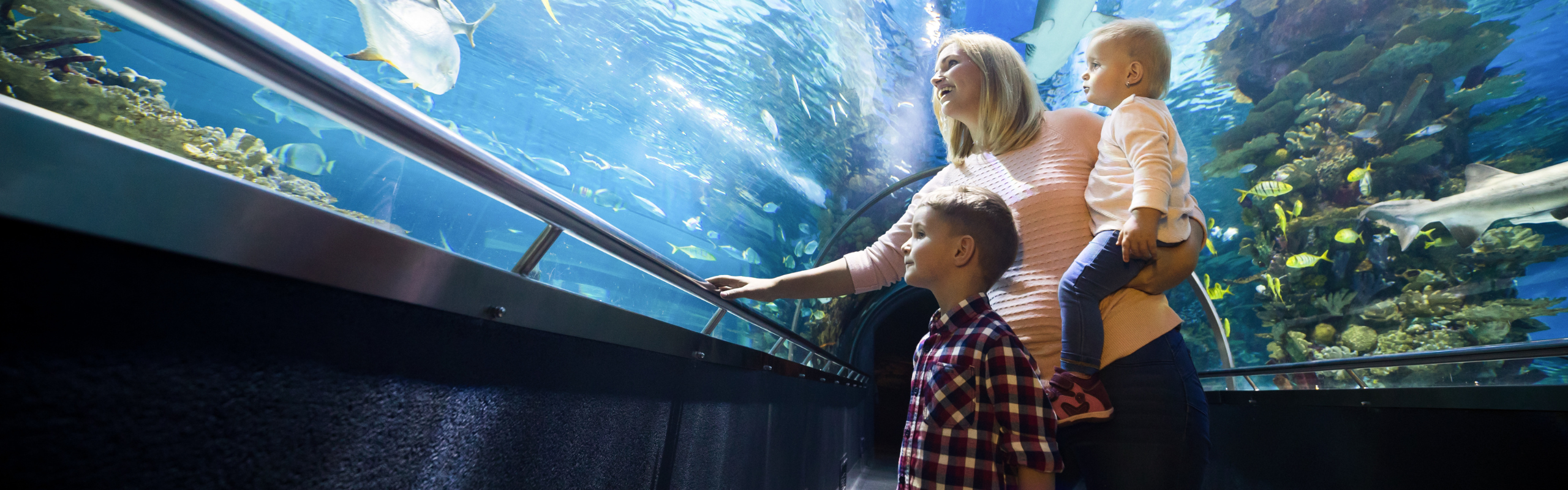 Mother and two children at the aquarium 