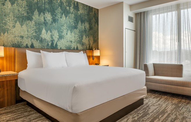 Drury Plaza Hotel Pigeon Forge - King Room Deluxe