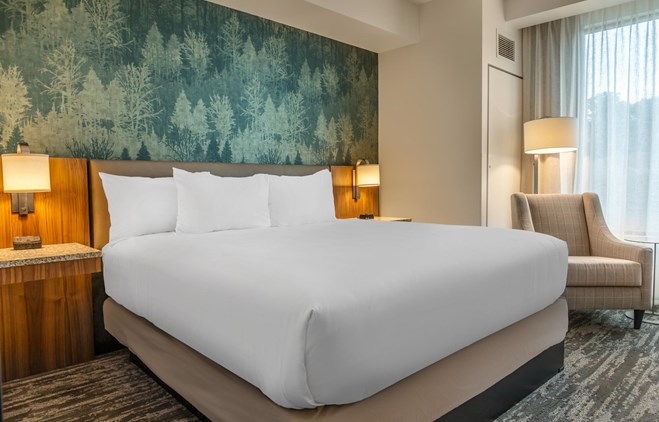 Drury Plaza Hotel Pigeon Forge - King Suite