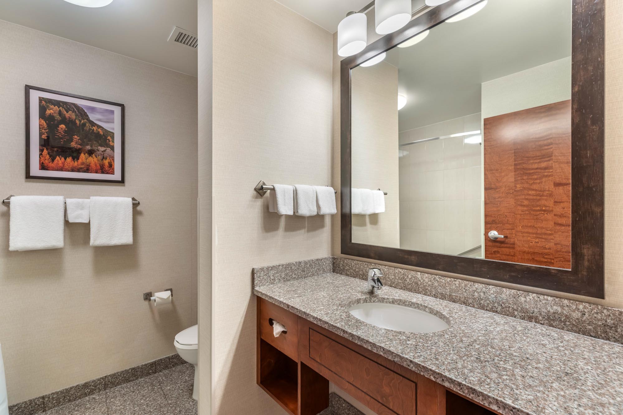 Drury Plaza Hotel Denver Central Park - Bathroom