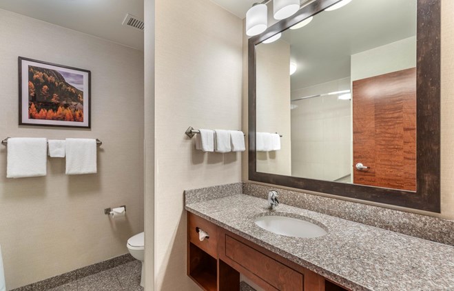 Drury Plaza Hotel Denver Central Park - Bathroom