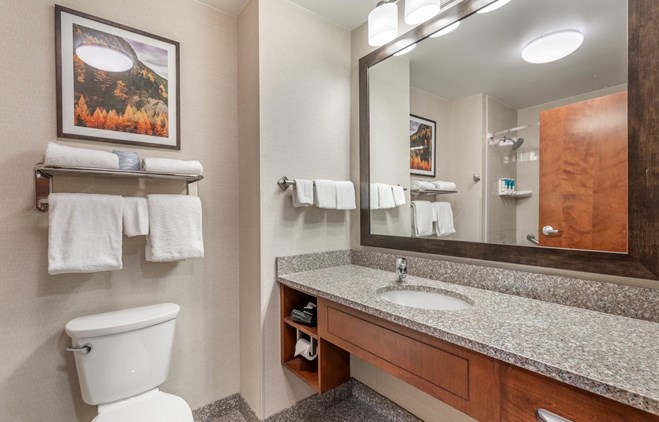 Drury Plaza Hotel Denver Central Park - King Suite