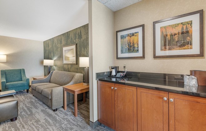 Drury Plaza Hotel Denver Central Park - King Suite