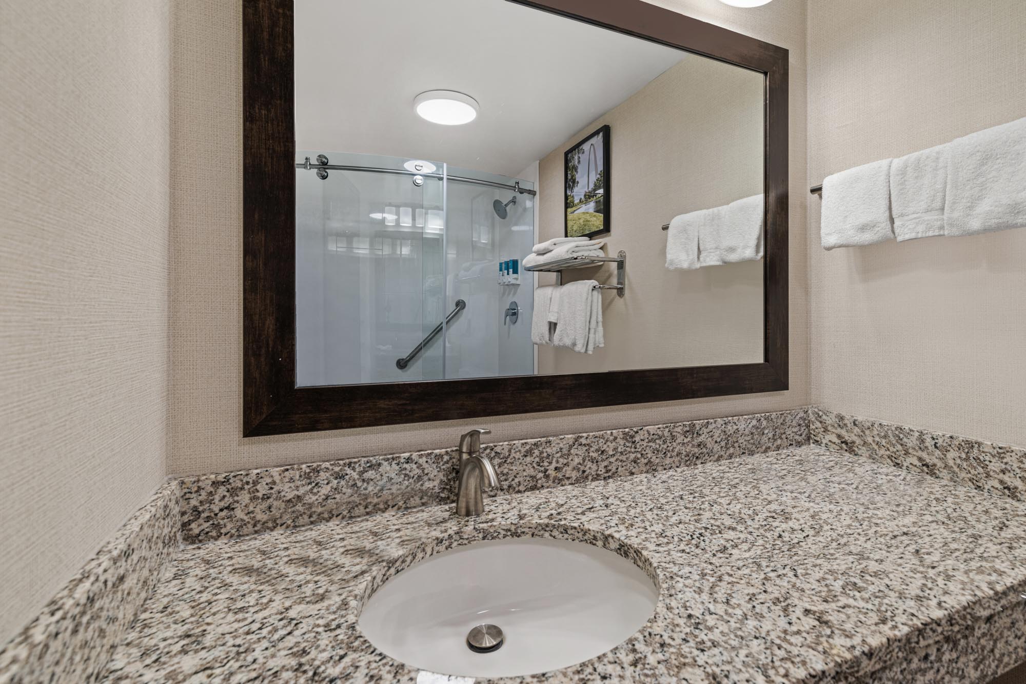 Drury Plaza Hotel St. Louis Creve Coeur - Bath