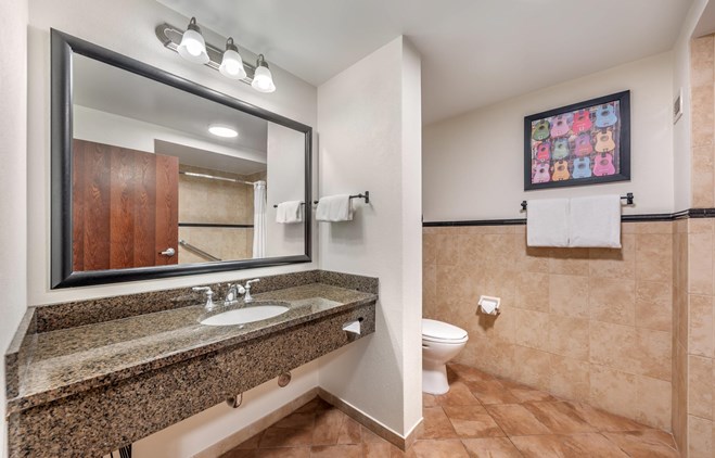 Drury Plaza Hotel San Antonio North Stone Oak - Bathroom
