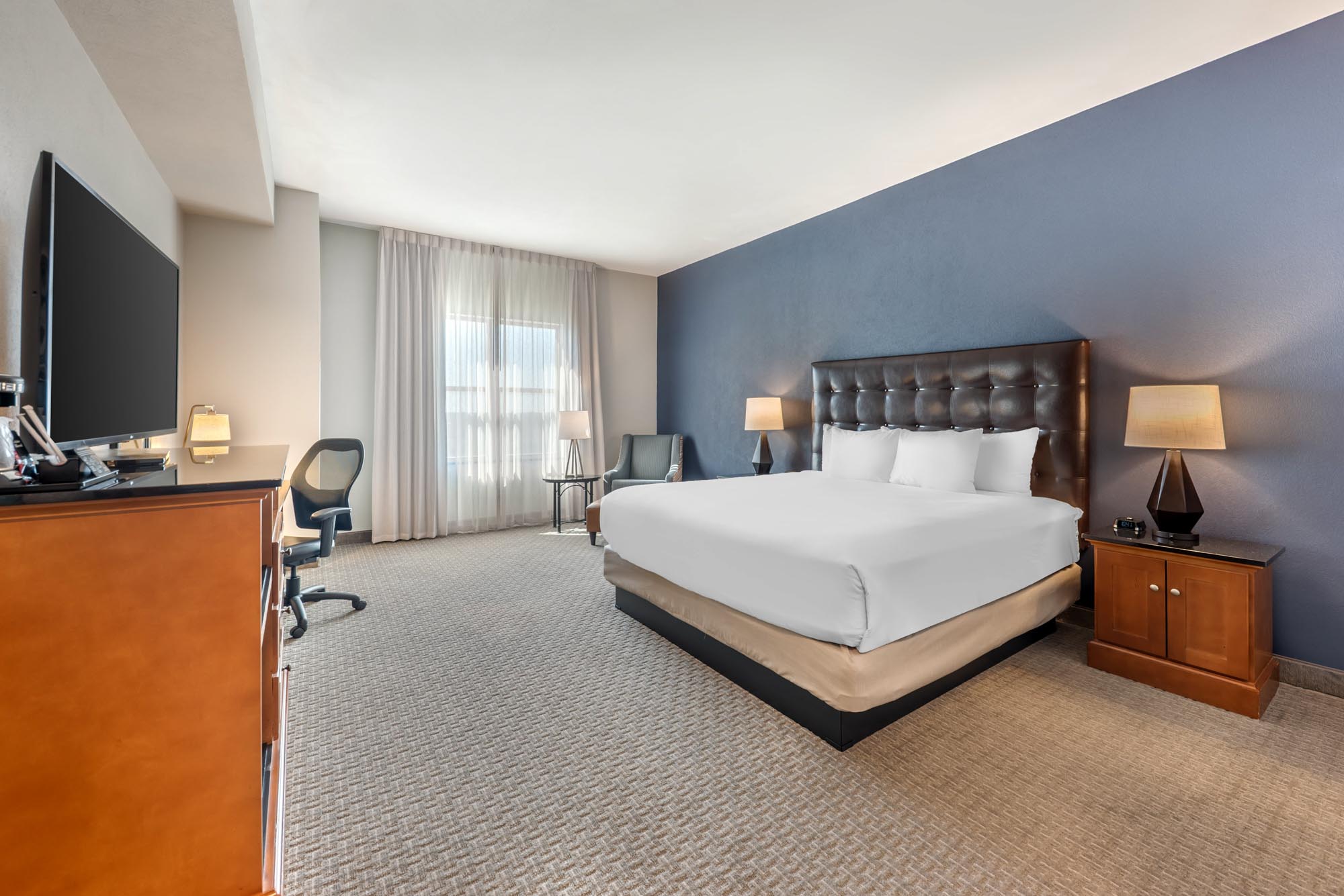 Drury Plaza Hotel San Antonio North Stone Oak - King Guestroom