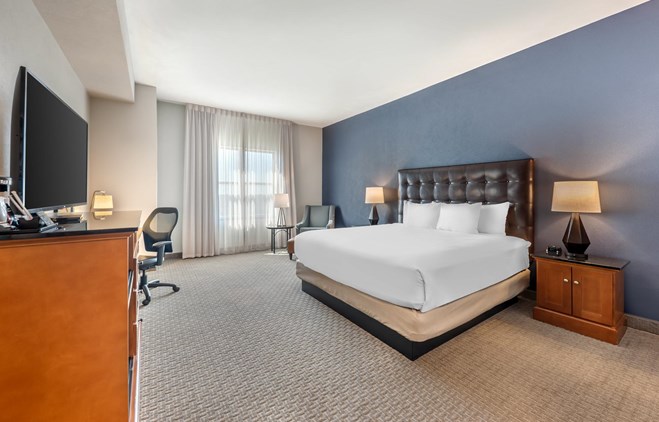 Drury Plaza Hotel San Antonio North Stone Oak - King Guestroom