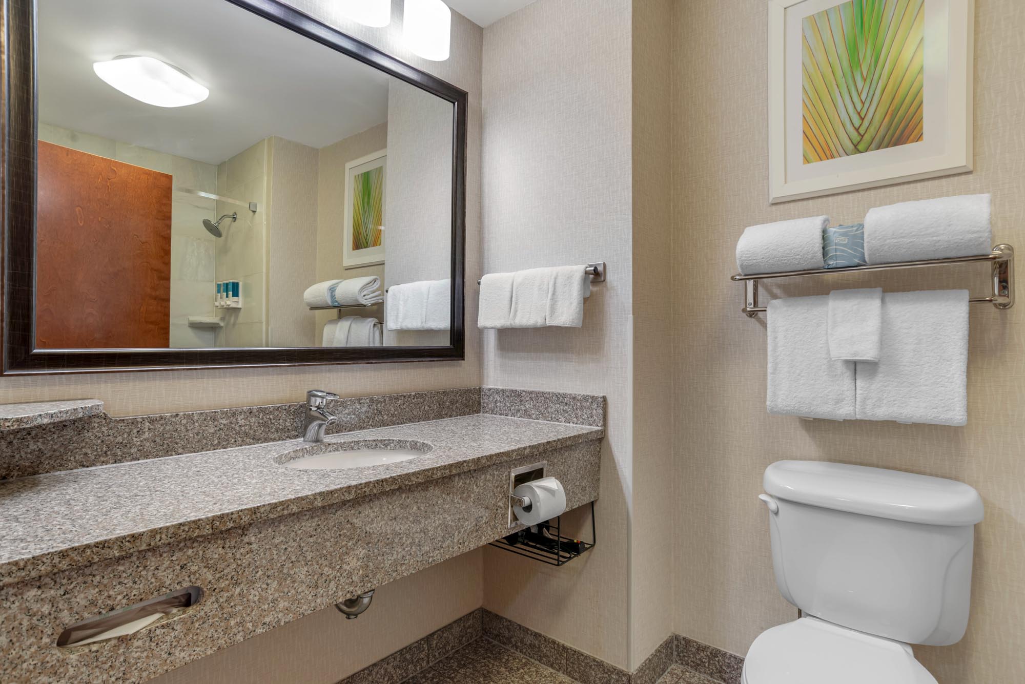 Drury Inn & Suites Baton Rouge - Guest Bath