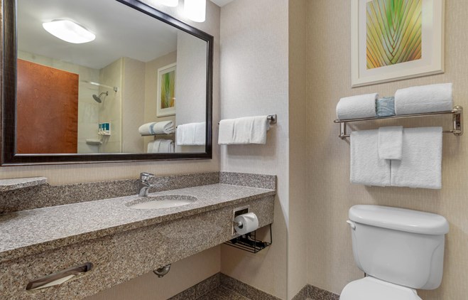 Drury Inn & Suites Baton Rouge - Guest Bath