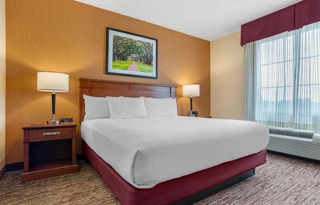 Drury Inn & Suites Baton Rouge - 1 King Bed Suite