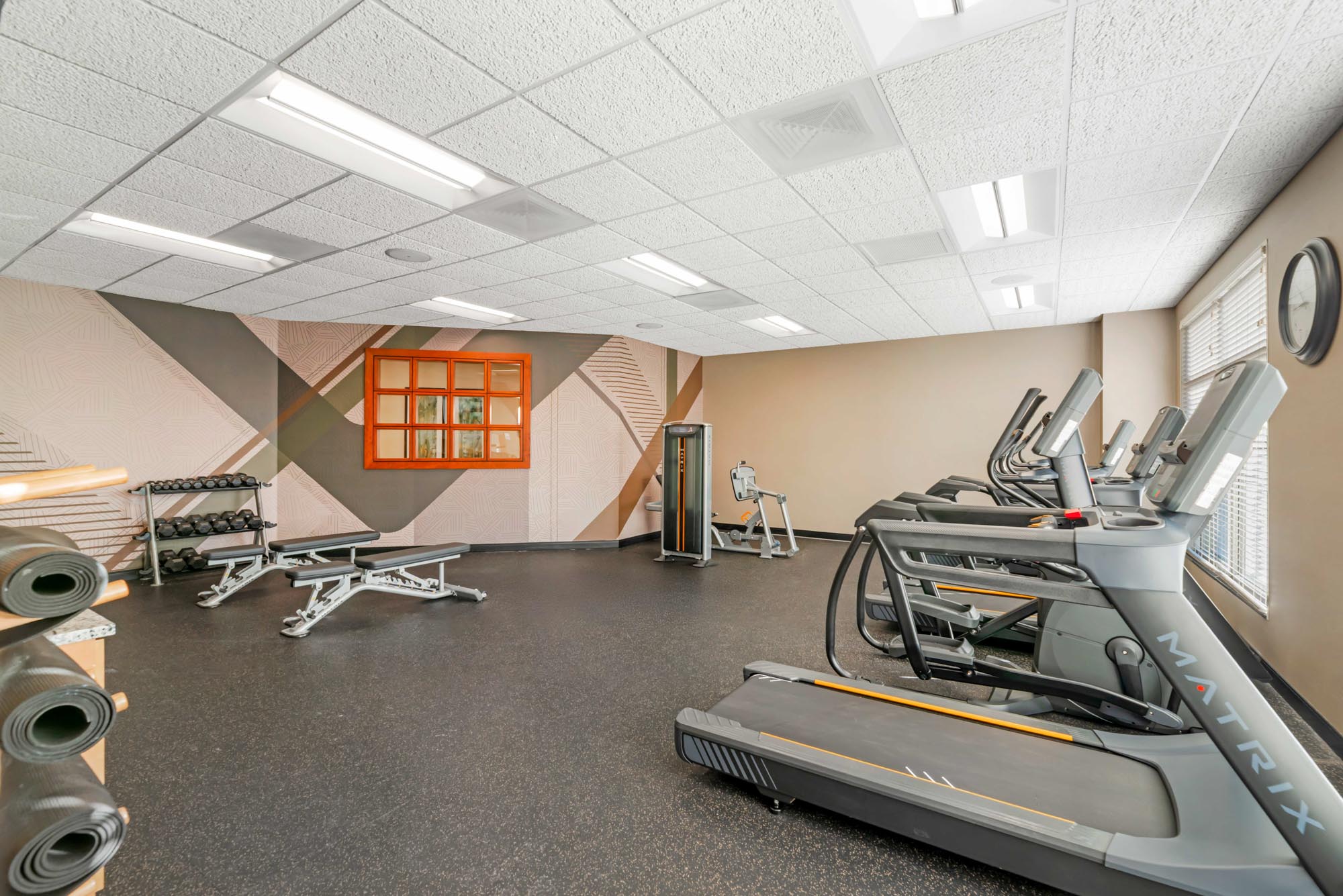Drury Plaza Hotel St. Louis Brentwood - Fitness