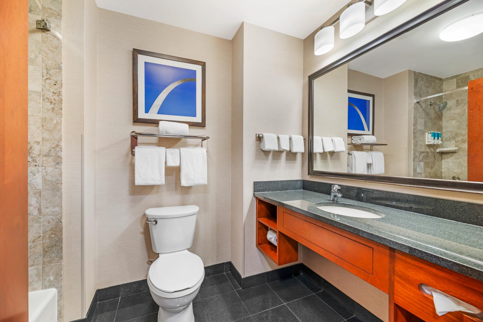 Drury Plaza Hotel St. Louis Brentwood - King Suite