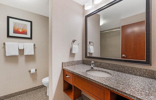 Drury Inn & Suites Fort Myers Airport FGCU - Bath