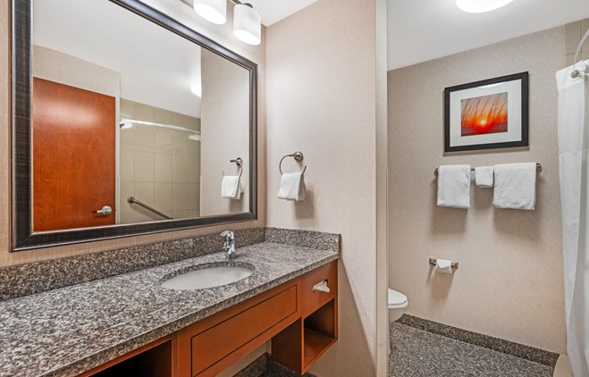 Drury Inn & Suites Fort Myers Airport FGCU - Bath