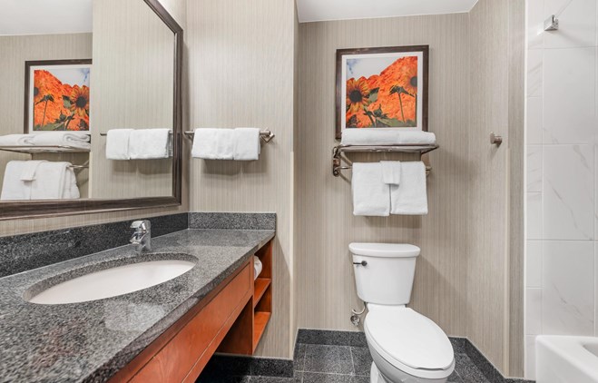 Drury Plaza Hotel Colorado Springs Near the Air Force Academy - Bath
