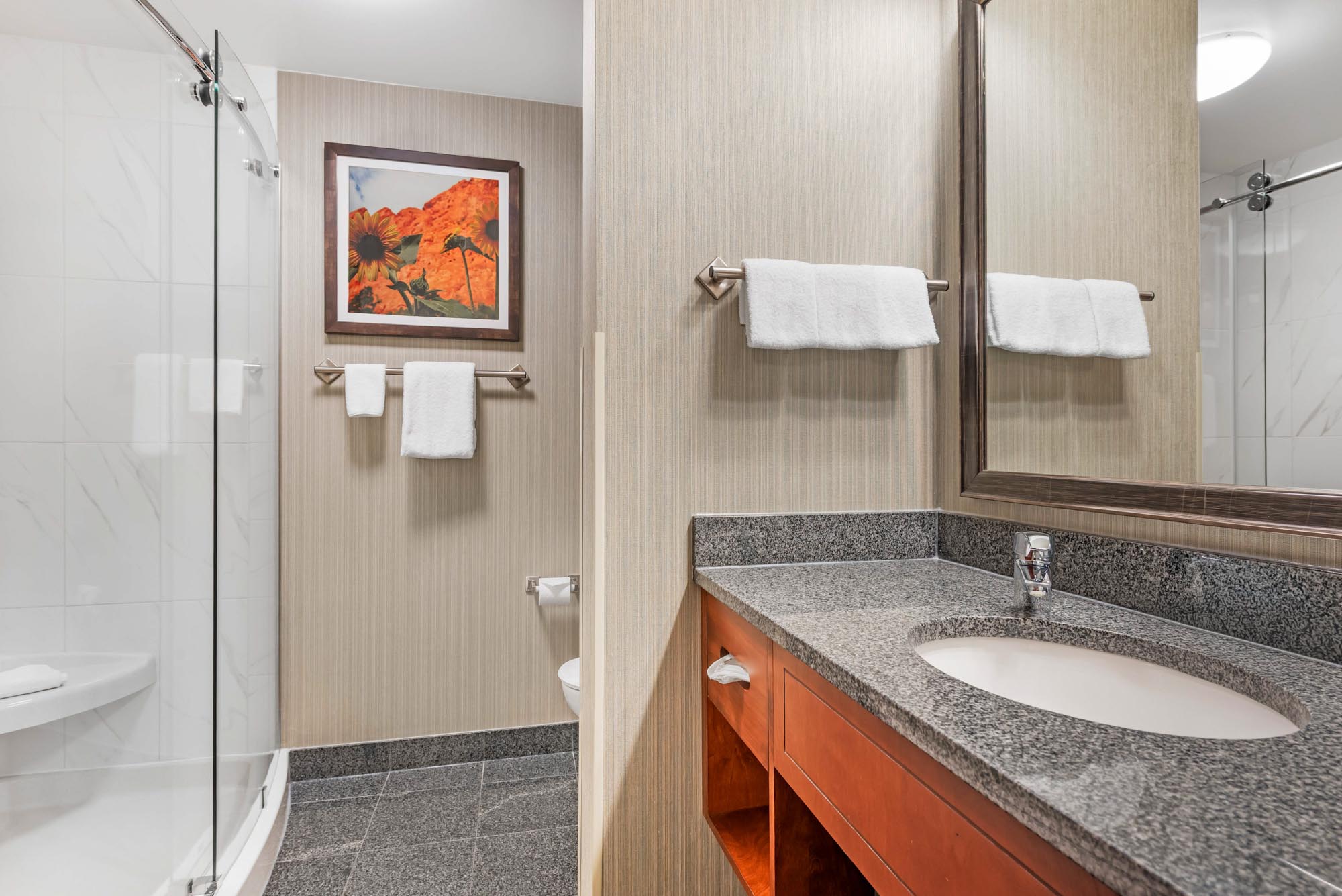 Drury Plaza Hotel Colorado Springs Near the Air Force Academy - Bath