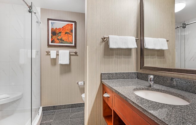 Drury Plaza Hotel Colorado Springs Near the Air Force Academy - Bath