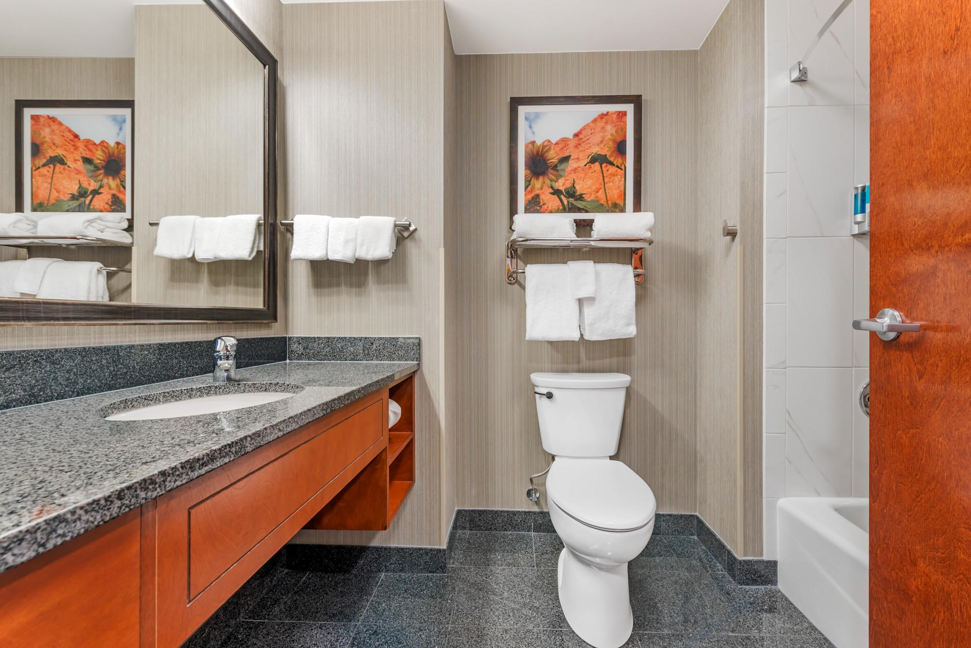 Drury Plaza Hotel Colorado Springs Near the Air Force Academy - Bath