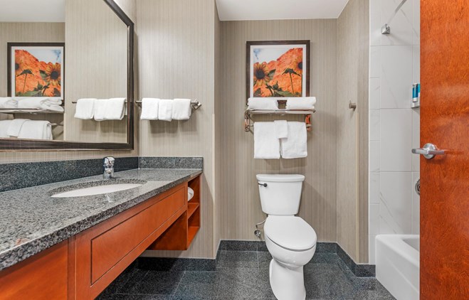 Drury Plaza Hotel Colorado Springs Near the Air Force Academy - Bath